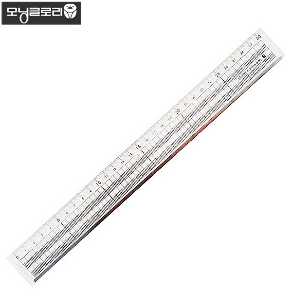 2500 모닝글로리 컷팅 방안자 30cm