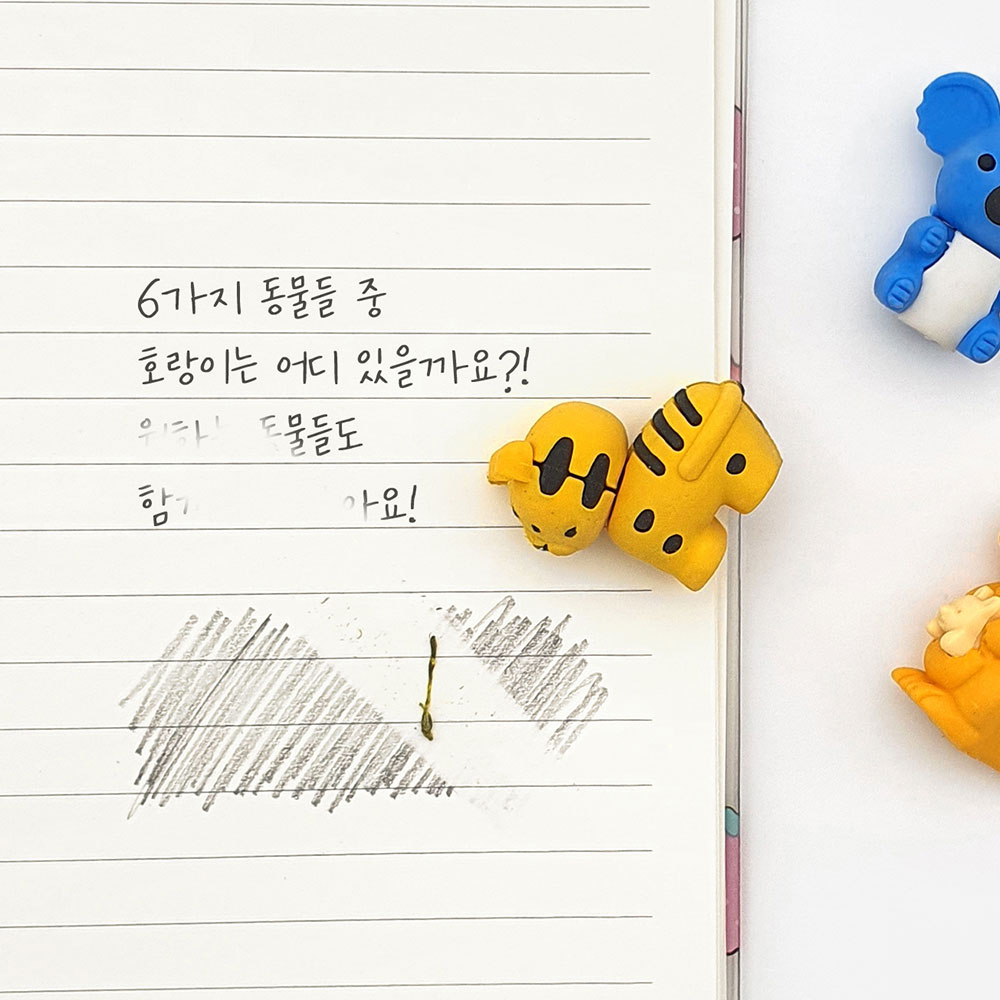 일정 호랑이를 찾아라 랜덤 지우개